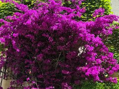 IMG 20260606 114044 (1)